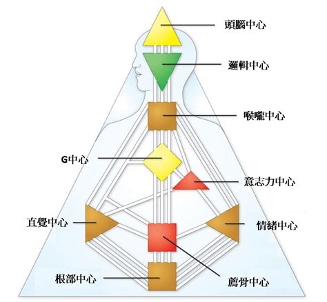 九大能量|人類圖是什麼？一文教你分析＋解讀4大類型及12種人。